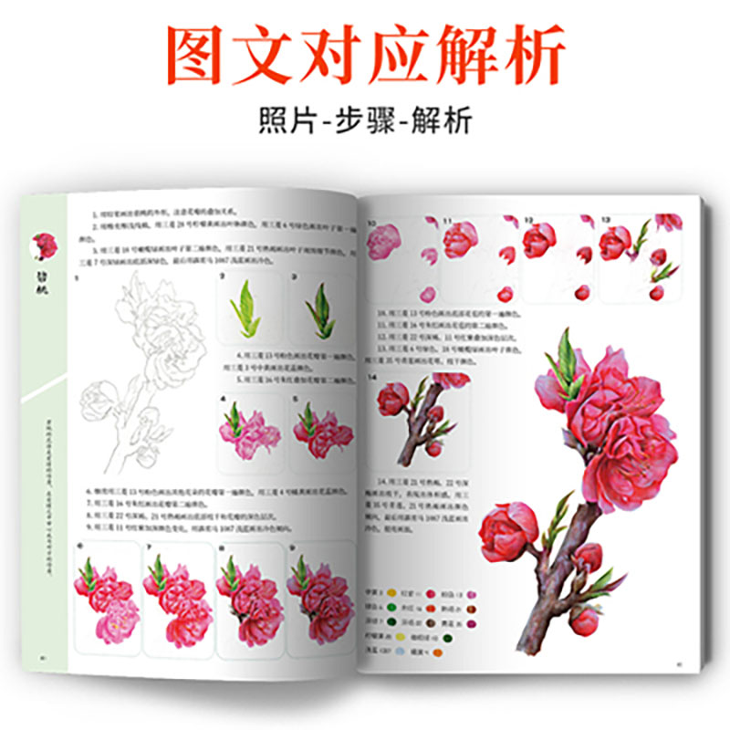 A Course Of ปฏิบัติสีเทคนิค Ze - Food And Snacks Coloring Book บทวิจารณ์และราคา